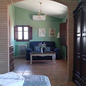 Suite Junior